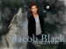 jacob_black_werewolf